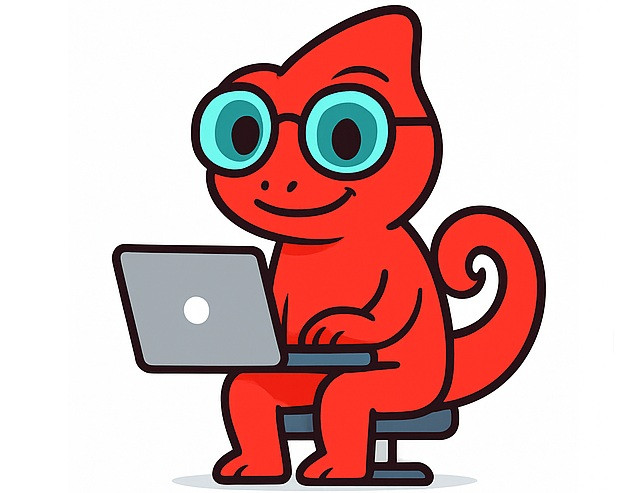 Digitalna agencija Rdeč kameleon: spletne rešitve po meri. Naša ekipa